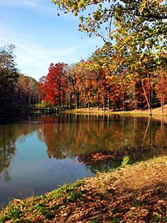 Arkansas