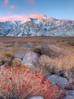 Manzanar - Mount Whitney - California