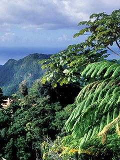 Commonwealth of Dominica