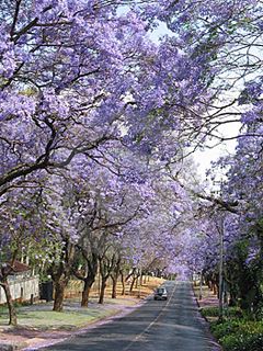Pretoria