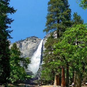 Lower Yosemite Fall