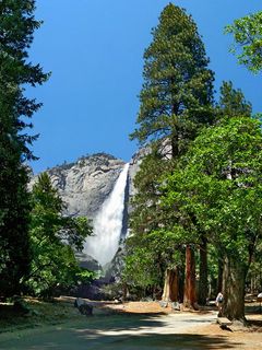 Lower Yosemite Fall