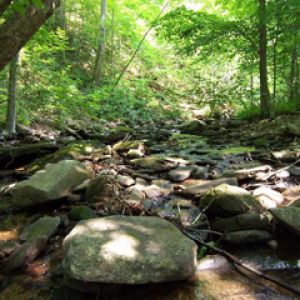 River Blue Ridge Mountains Georgia