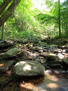 River Blue Ridge Mountains Georgia