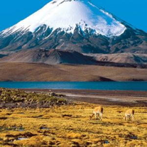Chile Atacama