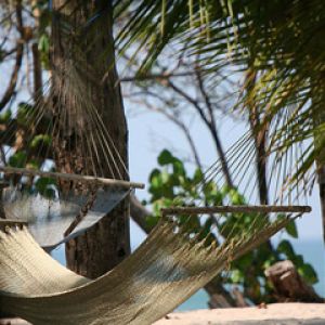 Costa Rica Hammocks