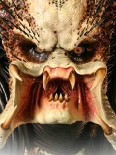 Predator