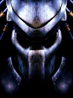 Predator