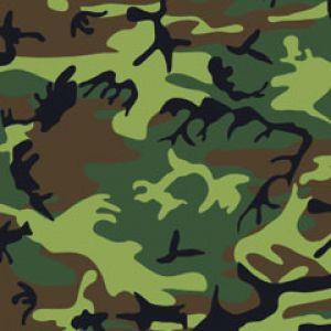 Camouflage