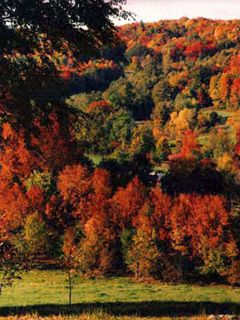 Vermont