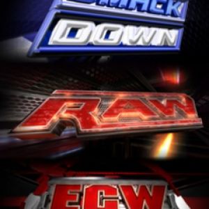 WWE Brands