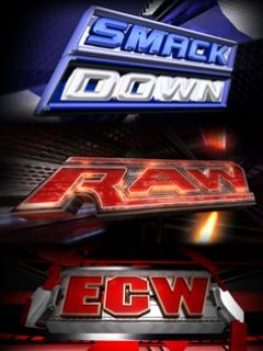 WWE Brands