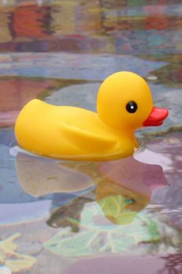 Yellow Rubber Duck