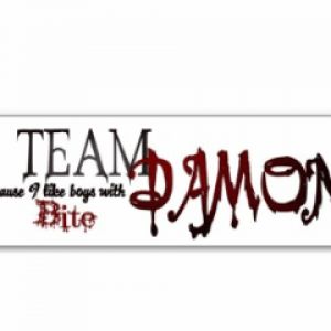 Team Damon