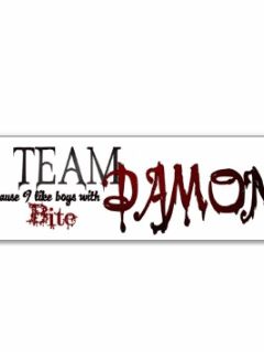 Team Damon