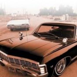 Impala