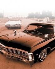 Impala