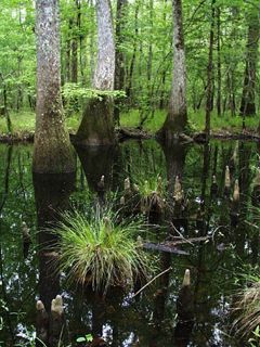 Louisiana