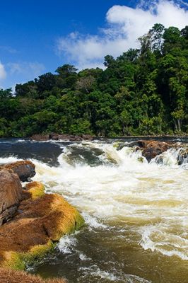 Suriname