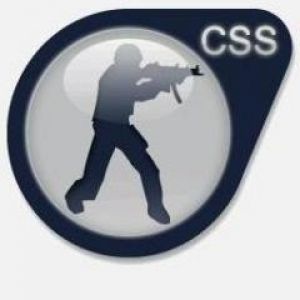 CSS Logo