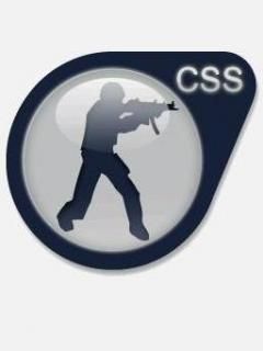 CSS Logo