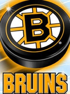 Boston Bruins