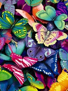 Butterflies