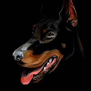 Doberman