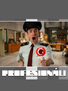 ProfesionĂˇli