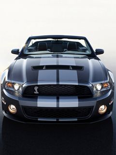 Mustang