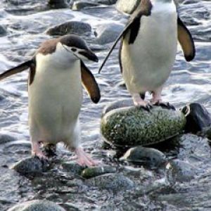 Argentina - Tierra del fuego