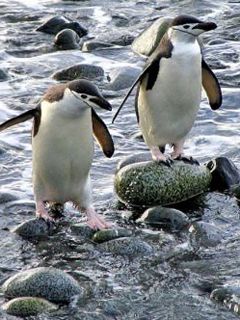 Argentina - Tierra del fuego