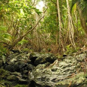 Lord Howe Island