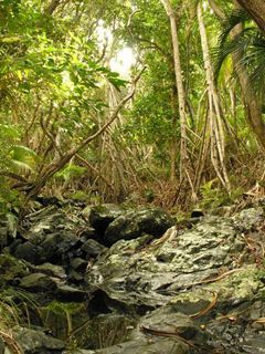 Lord Howe Island