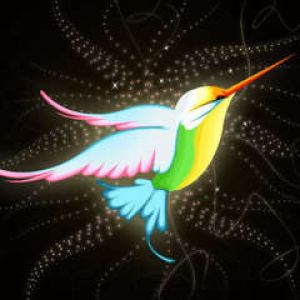 Colibri