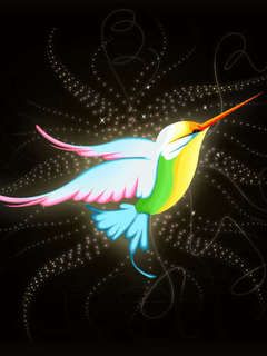 Colibri