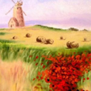 Norfolk Mill and Poppy Field