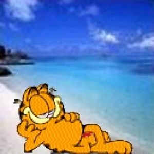 Garfield