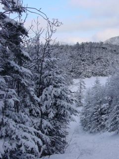 Vermont