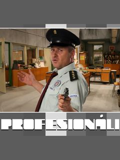 ProfesionĂˇli