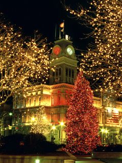 Merry Christmas