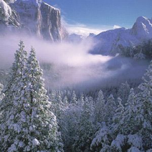 Yosemite Valley In Winter