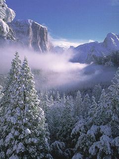 Yosemite Valley In Winter