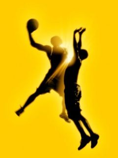 Basket
