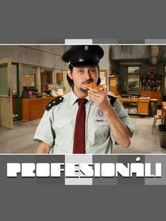 ProfesionĂˇli