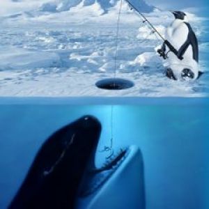 Fishing For Trouble