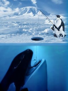 Fishing For Trouble