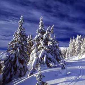 Krkonose
