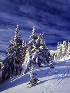 Krkonose