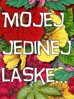 Mojej jedinej lĂˇske...